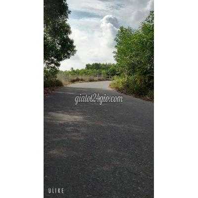 Mua Bán Đất Huyện Hòa Vang - Đà Nẵng 500m2 Đất Trồng Cây Lâu Năm Đường Nhựa 6m Giá Đầu Tư 390 Triệu Mua Bán Đất Huyện Hòa Vang - Đà Nẵng 500m2 Đất Trồng Cây Lâu Năm Đường Nhựa 6m Giá Đầu Tư 390 Triệu