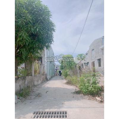Mua Bán Đất Quận Ngũ Hành Sơn - Đà Nẵng Đất Kiệt Mai Đăng Chơn Đối Diện Cao Đẳng Nghề Mua Bán Đất Quận Ngũ Hành Sơn - Đà Nẵng Đất Kiệt Mai Đăng Chơn Đối Diện Cao Đẳng Nghề