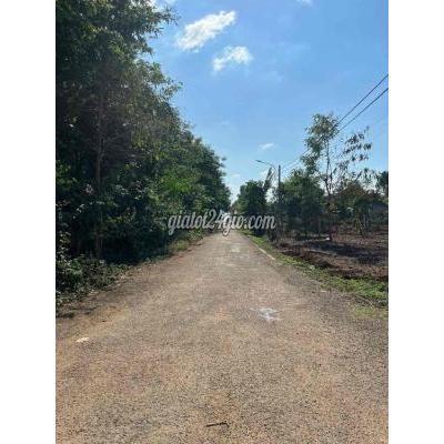 Mua Bán Đất Thành Phố Buôn Ma Thuột - Đắk Lắk Bán Đất Mặt Tiền B5 Mậu Thân Eatu Mua Bán Đất Thành Phố Buôn Ma Thuột - Đắk Lắk Bán Đất Mặt Tiền B5 Mậu Thân Eatu