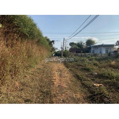 Mua Bán Đất Thành Phố Buôn Ma Thuột - Đắk Lắk Đất Đẹp Thổ Cư Đạt Lý Giá Rẻ Mua Bán Đất Thành Phố Buôn Ma Thuột - Đắk Lắk Đất Đẹp Thổ Cư Đạt Lý Giá Rẻ
