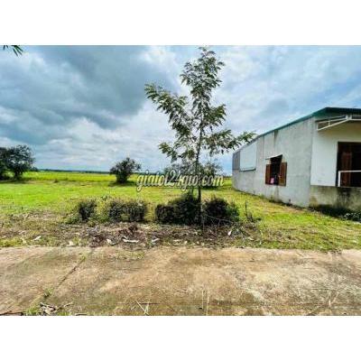 Mua Bán Đất Thành Phố Buôn Ma Thuột - Đắk Lắk -hoà Xuân,2 Lô Lk,thấp Hơn Đất Huyện- Mua Bán Đất Thành Phố Buôn Ma Thuột - Đắk Lắk -hoà Xuân,2 Lô Lk,thấp Hơn Đất Huyện-
