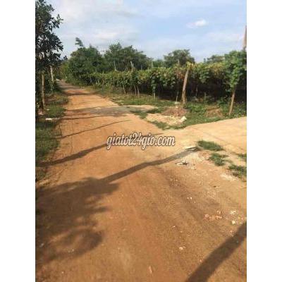 Mua Bán Đất Thành Phố Buôn Ma Thuột - Đắk Lắk Hẻm Cấp 1 Đường 01 Thôn 8 Cưebua Giá Chỉ Bằng Lô 5m Mua Bán Đất Thành Phố Buôn Ma Thuột - Đắk Lắk Hẻm Cấp 1 Đường 01 Thôn 8 Cưebua Giá Chỉ Bằng Lô 5m