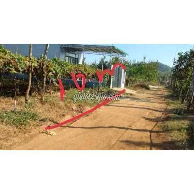 Mua Bán Đất Thành Phố Buôn Ma Thuột - Đắk Lắk Hẻm Cấp 1 Đường 01 Thôn 8 Cưebua Giá Chỉ Bằng Lô 5m Mua Bán Đất Thành Phố Buôn Ma Thuột - Đắk Lắk Hẻm Cấp 1 Đường 01 Thôn 8 Cưebua Giá Chỉ Bằng Lô 5m