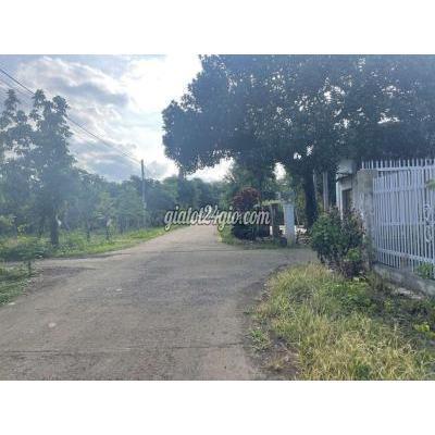 Mua Bán Đất Huyện Buôn Đôn - Đắk Lắk Lô Góc 2mt Đường Nhựa Và Bê Tông Giá Cắt Lỗ Mua Bán Đất Huyện Buôn Đôn - Đắk Lắk Lô Góc 2mt Đường Nhựa Và Bê Tông Giá Cắt Lỗ