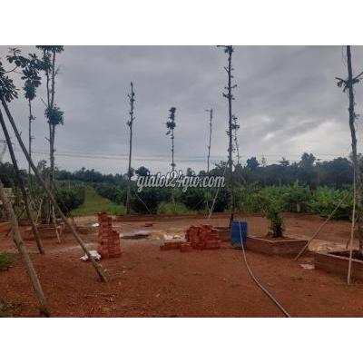 Mua Bán Đất Huyện Định Quán - Đồng Nai Đất Sổ Hồng Sát Hồ Trị An 1006m2 Đang Vay Nóng Mua Bán Đất Huyện Định Quán - Đồng Nai Đất Sổ Hồng Sát Hồ Trị An 1006m2 Đang Vay Nóng
