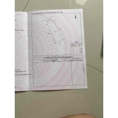 Mua Bán Đất Huyện Nhơn Trạch - Đồng Nai Cần Bán Đất Nguyễn Hửu Cảnh Mua Bán Đất Huyện Nhơn Trạch - Đồng Nai Cần Bán Đất Nguyễn Hửu Cảnh