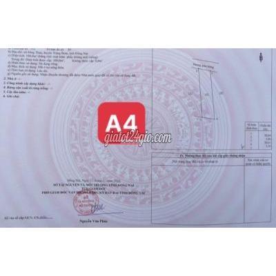 Mua Bán Đất Huyện Trảng Bom - Đồng Nai Cần Tiền Nên Bán Lô Đất Thổ Cư Trảng Bom Đông Nai Giá 450tr Giá Tốt Mua Bán Đất Huyện Trảng Bom - Đồng Nai Cần Tiền Nên Bán Lô Đất Thổ Cư Trảng Bom Đông Nai Giá 450tr Giá Tốt