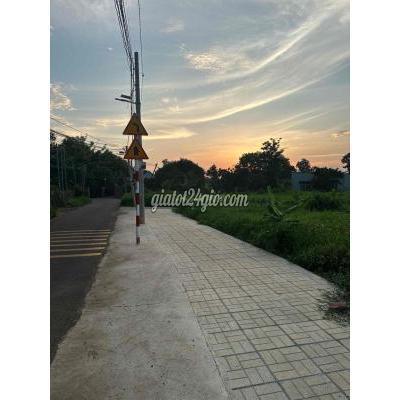 Mua Bán Đất Huyện Trảng Bom - Đồng Nai Đất Sào Có 100m Thổ Cư Trảng Bom Mua Bán Đất Huyện Trảng Bom - Đồng Nai Đất Sào Có 100m Thổ Cư Trảng Bom