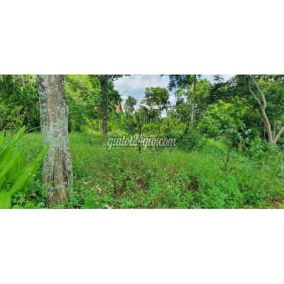 Mua Bán Đất Thành Phố Long Khánh - Đồng Nai Bán Vườn Có Phủ Hồng Đất Ở Tại Phường Xuân Lập 920tr/ Sào Mua Bán Đất Thành Phố Long Khánh - Đồng Nai Bán Vườn Có Phủ Hồng Đất Ở Tại Phường Xuân Lập 920tr/ Sào