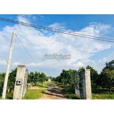 Mua Bán Đất Huyện Định Quán - Đồng Nai Đất Vườn Hồ Trị An, Nơi An Cư Điền Viên Mua Bán Đất Huyện Định Quán - Đồng Nai Đất Vườn Hồ Trị An, Nơi An Cư Điền Viên