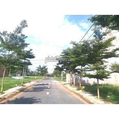 Mua Bán Đất Huyện Vĩnh Cửu - Đồng Nai Chính Chủ Bán Đất Làng Bưởi Tân Triều. Mua Bán Đất Huyện Vĩnh Cửu - Đồng Nai Chính Chủ Bán Đất Làng Bưởi Tân Triều.