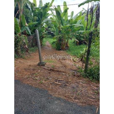 Mua Bán Đất Huyện Lai Vung - Đồng Tháp 7,5 Công Đất Vườn Lộ Xe Ô Tô (nhựa 4m) Cách Trung Tâm Tt Lai Vung 2km Mua Bán Đất Huyện Lai Vung - Đồng Tháp 7,5 Công Đất Vườn Lộ Xe Ô Tô (nhựa 4m) Cách Trung Tâm Tt Lai Vung 2km