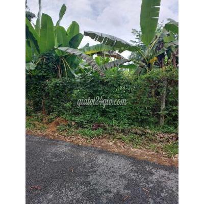 Mua Bán Đất Huyện Lai Vung - Đồng Tháp 7,5 Công Đất Vườn Lộ Xe Ô Tô (nhựa 4m) Cách Trung Tâm Tt Lai Vung 2km Mua Bán Đất Huyện Lai Vung - Đồng Tháp 7,5 Công Đất Vườn Lộ Xe Ô Tô (nhựa 4m) Cách Trung Tâm Tt Lai Vung 2km