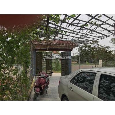 Mua Bán Đất Quận Hoàng Mai - Hà Nội Bán Đất Xen Kẹt Gần Ubnd Quận Mua Bán Đất Quận Hoàng Mai - Hà Nội Bán Đất Xen Kẹt Gần Ubnd Quận
