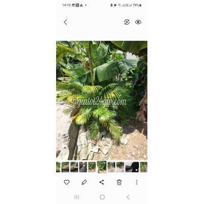 Mua Bán Đất Huyện Chương Mỹ - Hà Nội Bán Đất Chính Chủ Mua Bán Đất Huyện Chương Mỹ - Hà Nội Bán Đất Chính Chủ