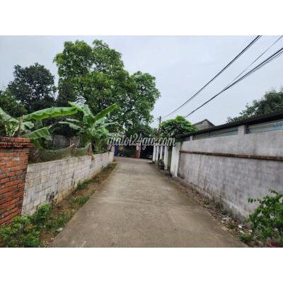 Mua Bán Đất Huyện Thạch Thất - Hà Nội Bán 124m Đất Thổ Cư Tại Xã Hạ Bằng- Gần Khu Công Nghệ Cao Hòa Lạc. Mua Bán Đất Huyện Thạch Thất - Hà Nội Bán 124m Đất Thổ Cư Tại Xã Hạ Bằng- Gần Khu Công Nghệ Cao Hòa Lạc.