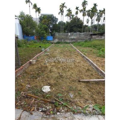 Mua Bán Đất Huyện An Dương - Hải Phòng Bán 81,5 M2 Đất Thổ Cứ, Sổ Đầy Đủ Mua Bán Đất Huyện An Dương - Hải Phòng Bán 81,5 M2 Đất Thổ Cứ, Sổ Đầy Đủ
