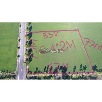 Mua Bán Đất Huyện Vị Thuỷ - Hậu Giang Mt Quốc Lộ 61c Hậu Giang, 6,412m, Giá 1.2tr/m, Dt 75x86m, Kênh 12,000 Mua Bán Đất Huyện Vị Thuỷ - Hậu Giang Mt Quốc Lộ 61c Hậu Giang, 6,412m, Giá 1.2tr/m, Dt 75x86m, Kênh 12,000