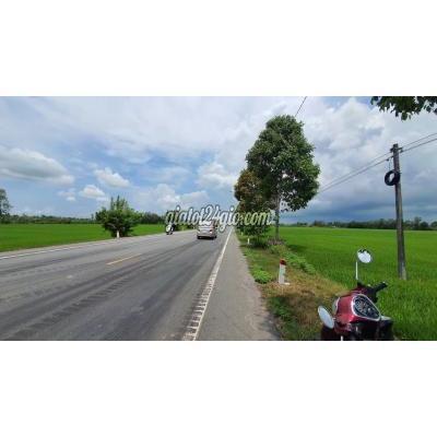 Mua Bán Đất Huyện Vị Thuỷ - Hậu Giang Mt Quốc Lộ 61c Hậu Giang, 6,412m, Giá 1.2tr/m, Dt 75x86m, Kênh 12,000 Mua Bán Đất Huyện Vị Thuỷ - Hậu Giang Mt Quốc Lộ 61c Hậu Giang, 6,412m, Giá 1.2tr/m, Dt 75x86m, Kênh 12,000