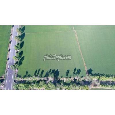 Mua Bán Đất Huyện Vị Thuỷ - Hậu Giang Mt Quốc Lộ 61c Hậu Giang, 6,412m, Giá 1.2tr/m, Dt 75x86m, Kênh 12,000 Mua Bán Đất Huyện Vị Thuỷ - Hậu Giang Mt Quốc Lộ 61c Hậu Giang, 6,412m, Giá 1.2tr/m, Dt 75x86m, Kênh 12,000