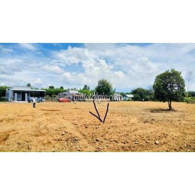 Mua Bán Đất Huyện Khánh Vĩnh - Khánh Hòa Đất Khánh Vĩnh Gần Tl8b Giá Mềm 450tr/202m2 Thổ Cư Mua Bán Đất Huyện Khánh Vĩnh - Khánh Hòa Đất Khánh Vĩnh Gần Tl8b Giá Mềm 450tr/202m2 Thổ Cư
