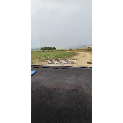 Mua Bán Đất Thị Xã Ninh Hòa - Khánh Hòa Bán Lô Đất Hơn 1,6 Ha Tại Ninh Hòa, Hợp Thổ 100%. Mua Bán Đất Thị Xã Ninh Hòa - Khánh Hòa Bán Lô Đất Hơn 1,6 Ha Tại Ninh Hòa, Hợp Thổ 100%.