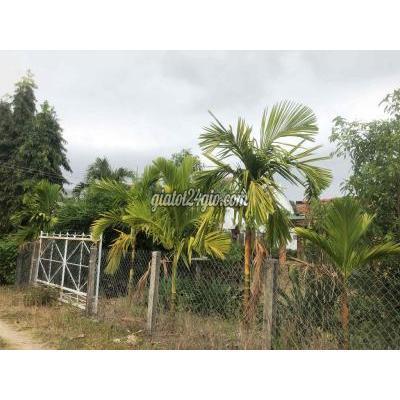 Mua Bán Đất Thị Xã Ninh Hòa - Khánh Hòa Đất Vườn Nghĩ Dưỡng 2782m2 Tại Ninh Thượng Ninh Hoà Gần Kdl Suối Mơ Mua Bán Đất Thị Xã Ninh Hòa - Khánh Hòa Đất Vườn Nghĩ Dưỡng 2782m2 Tại Ninh Thượng Ninh Hoà Gần Kdl Suối Mơ