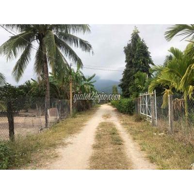 Mua Bán Đất Thị Xã Ninh Hòa - Khánh Hòa Đất Vườn Nghĩ Dưỡng 2782m2 Tại Ninh Thượng Ninh Hoà Gần Kdl Suối Mơ Mua Bán Đất Thị Xã Ninh Hòa - Khánh Hòa Đất Vườn Nghĩ Dưỡng 2782m2 Tại Ninh Thượng Ninh Hoà Gần Kdl Suối Mơ