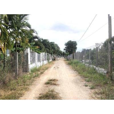 Mua Bán Đất Thị Xã Ninh Hòa - Khánh Hòa Đất Vườn Nghĩ Dưỡng 2782m2 Tại Ninh Thượng Ninh Hoà Gần Kdl Suối Mơ Mua Bán Đất Thị Xã Ninh Hòa - Khánh Hòa Đất Vườn Nghĩ Dưỡng 2782m2 Tại Ninh Thượng Ninh Hoà Gần Kdl Suối Mơ