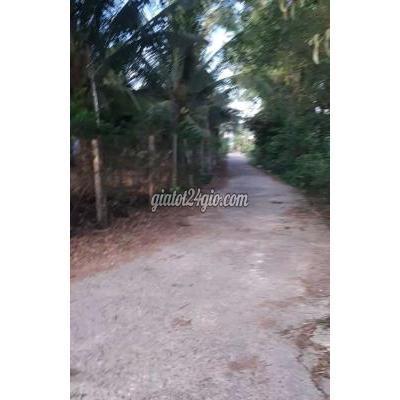 Mua Bán Đất Thành Phố Phú Quốc - Kiên Giang Bán Đất Phú Quốc Có Thổ Cư Mtđường Ấp Cây T Trong Cửa Dương Pq