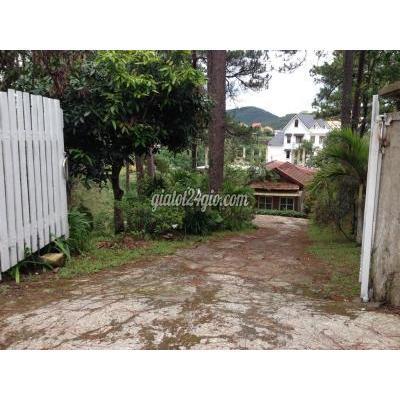 Mua Bán Đất Thành Phố Đà Lạt - Lâm Đồng Đất Biệt Thự Cực Đẹp Tại Phườnng 10 - Đà Lạt Mua Bán Đất Thành Phố Đà Lạt - Lâm Đồng Đất Biệt Thự Cực Đẹp Tại Phườnng 10 - Đà Lạt