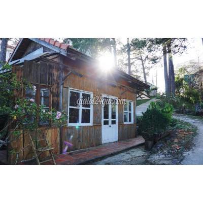 Mua Bán Đất Thành Phố Đà Lạt - Lâm Đồng Đất Biệt Thự Cực Đẹp Tại Phườnng 10 - Đà Lạt Mua Bán Đất Thành Phố Đà Lạt - Lâm Đồng Đất Biệt Thự Cực Đẹp Tại Phườnng 10 - Đà Lạt