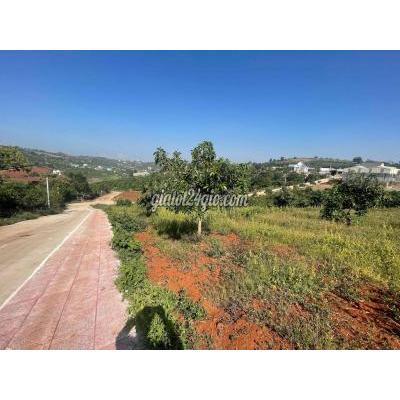 Mua Bán Đất Huyện Lâm Hà - Lâm Đồng Đất Thổ Cư Thị Trấn Nam Ban Cách Nhựa 100m Mua Bán Đất Huyện Lâm Hà - Lâm Đồng Đất Thổ Cư Thị Trấn Nam Ban Cách Nhựa 100m