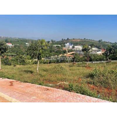 Mua Bán Đất Huyện Lâm Hà - Lâm Đồng Đất Thổ Cư Thị Trấn Nam Ban Cách Nhựa 100m Mua Bán Đất Huyện Lâm Hà - Lâm Đồng Đất Thổ Cư Thị Trấn Nam Ban Cách Nhựa 100m