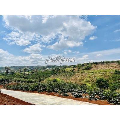 Mua Bán Đất Huyện Lâm Hà - Lâm Đồng Cần Bán 709m2 Đất Sẵn Thổ Cư Thị Trấn Nam Ban Mua Bán Đất Huyện Lâm Hà - Lâm Đồng Cần Bán 709m2 Đất Sẵn Thổ Cư Thị Trấn Nam Ban