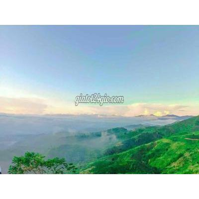Mua Bán Đất Thành Phố Đà Lạt - Lâm Đồng Cần Bán Gấp Nên Giá Rẻ Yêu Cầu Thiện Chí Để Chốt Mua Bán Đất Thành Phố Đà Lạt - Lâm Đồng Cần Bán Gấp Nên Giá Rẻ Yêu Cầu Thiện Chí Để Chốt