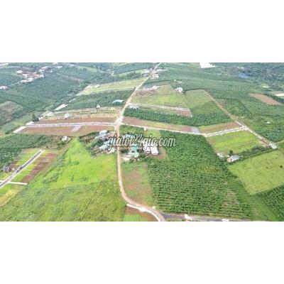 Mua Bán Đất Huyện Bảo Lâm - Lâm Đồng Mặt Tiền Đường 17 Hồ Cánh Bướm Bảo Lộc 1tỷ700tr Mua Bán Đất Huyện Bảo Lâm - Lâm Đồng Mặt Tiền Đường 17 Hồ Cánh Bướm Bảo Lộc 1tỷ700tr