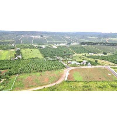 Mua Bán Đất Huyện Bảo Lâm - Lâm Đồng Mặt Tiền Đường 17 Hồ Cánh Bướm Bảo Lộc 1tỷ700tr Mua Bán Đất Huyện Bảo Lâm - Lâm Đồng Mặt Tiền Đường 17 Hồ Cánh Bướm Bảo Lộc 1tỷ700tr
