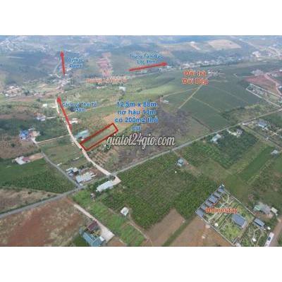 Mua Bán Đất Thành Phố Bảo Lộc - Lâm Đồng Hạ Giá Bán Xãđari. Tp Bảo Lỗc Lâm Đồnh Mua Bán Đất Thành Phố Bảo Lộc - Lâm Đồng Hạ Giá Bán Xãđari. Tp Bảo Lỗc Lâm Đồnh