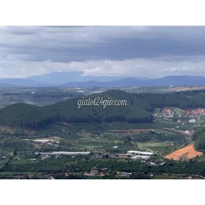 Mua Bán Đất Huyện Lâm Hà - Lâm Đồng Chuyển Nhượng Miếng Đất Gần Sân Bay Liên Khương - Đà Lạt Mua Bán Đất Huyện Lâm Hà - Lâm Đồng Chuyển Nhượng Miếng Đất Gần Sân Bay Liên Khương - Đà Lạt