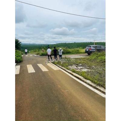 Mua Bán Đất Thành Phố Bảo Lộc - Lâm Đồng Vị Trí Vàng Ngay Ql20 Bảo Lộc Đà Lạt Mua Bán Đất Thành Phố Bảo Lộc - Lâm Đồng Vị Trí Vàng Ngay Ql20 Bảo Lộc Đà Lạt