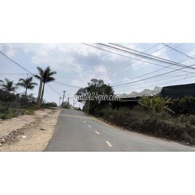Mua Bán Đất Thành Phố Đà Lạt - Lâm Đồng Chính Chủ Hạ Giá 750tr Bán Gấp 250m2 Đất Đa Phú P7 Đà Lạt Full Thổ Cư Mua Bán Đất Thành Phố Đà Lạt - Lâm Đồng Chính Chủ Hạ Giá 750tr Bán Gấp 250m2 Đất Đa Phú P7 Đà Lạt Full Thổ Cư