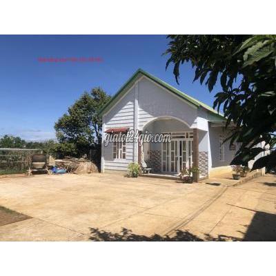 Mua Bán Đất Huyện Bảo Lâm - Lâm Đồng Bán Đất Bảo Lâm Sau Bệnh Viện Mua Bán Đất Huyện Bảo Lâm - Lâm Đồng Bán Đất Bảo Lâm Sau Bệnh Viện