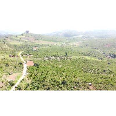 Mua Bán Đất Huyện Di Linh - Lâm Đồng 1700m2 Đất Di Linh Giá 420tr/sào , Đường Nhựa Rộng 10m Mua Bán Đất Huyện Di Linh - Lâm Đồng 1700m2 Đất Di Linh Giá 420tr/sào , Đường Nhựa Rộng 10m