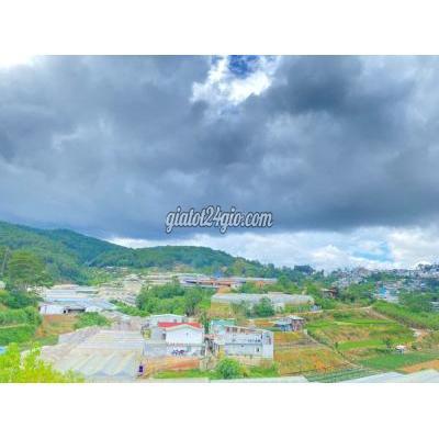 Mua Bán Đất Thành Phố Đà Lạt - Lâm Đồng Giảm 4.5 Tỷ Đất Góc 2mt Khu Quy Hoạch An Sơn View Đỉnh 319.6m2 17.5 Tỷ Mua Bán Đất Thành Phố Đà Lạt - Lâm Đồng Giảm 4.5 Tỷ Đất Góc 2mt Khu Quy Hoạch An Sơn View Đỉnh 319.6m2 17.5 Tỷ