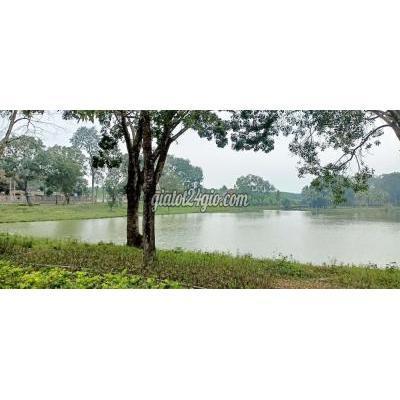 Mua Bán Đất Huyện Đức Hòa - Long An Đất Ctps(4*12)shr Chính Chủ, Giá Rẻ 950tr Mua Bán Đất Huyện Đức Hòa - Long An Đất Ctps(4*12)shr Chính Chủ, Giá Rẻ 950tr