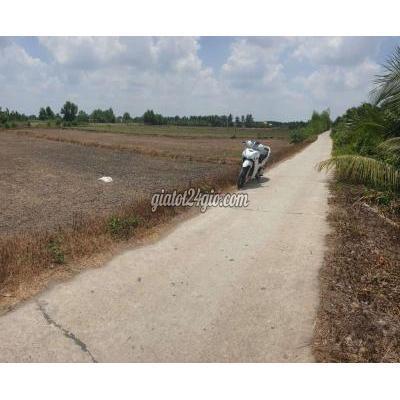 Mua Bán Đất Huyện Bến Lức - Long An 1000m2 Có 150m2 Đất Thổ Cư.ấp 7 Xã Tân Bửu Mua Bán Đất Huyện Bến Lức - Long An 1000m2 Có 150m2 Đất Thổ Cư.ấp 7 Xã Tân Bửu