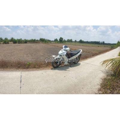Mua Bán Đất Huyện Bến Lức - Long An 1000m2 Có 150m2 Đất Thổ Cư.ấp 7 Xã Tân Bửu Mua Bán Đất Huyện Bến Lức - Long An 1000m2 Có 150m2 Đất Thổ Cư.ấp 7 Xã Tân Bửu