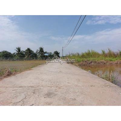Mua Bán Đất Huyện Bến Lức - Long An Đất 650 M2 Thổ Cư Đường Ô Tô Xã Tân Bửu, 1,4 Tỷ Mua Bán Đất Huyện Bến Lức - Long An Đất 650 M2 Thổ Cư Đường Ô Tô Xã Tân Bửu, 1,4 Tỷ
