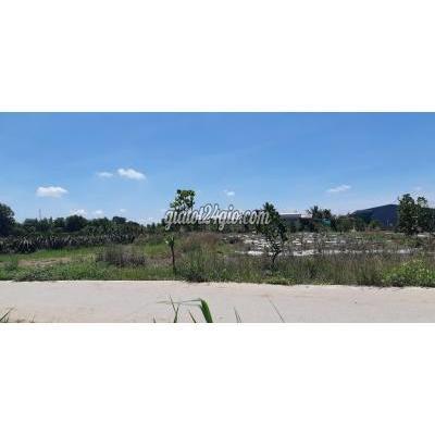 Mua Bán Đất Huyện Bến Lức - Long An Đất 650 M2 Thổ Cư Đường Ô Tô Xã Tân Bửu, 1,4 Tỷ Mua Bán Đất Huyện Bến Lức - Long An Đất 650 M2 Thổ Cư Đường Ô Tô Xã Tân Bửu, 1,4 Tỷ
